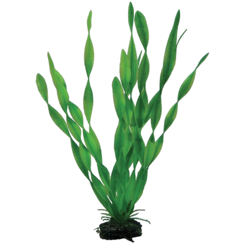 Plastväxt Vallisneria 34cm