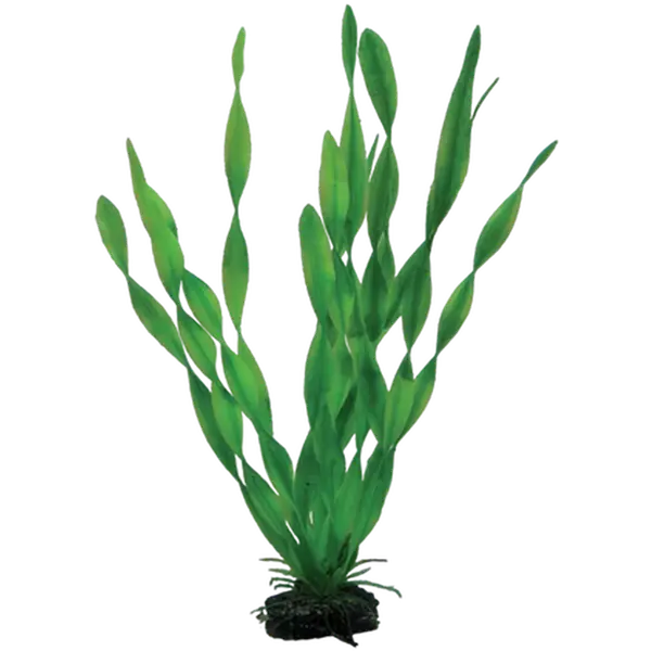 Plastplante Vallisneria 34cm