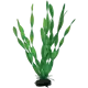 Vallisneria Green 34 cm