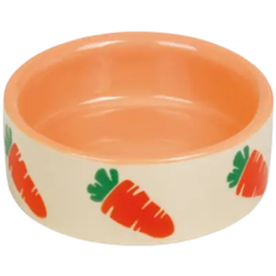 Carrot Ceramic Feeding Bowl
