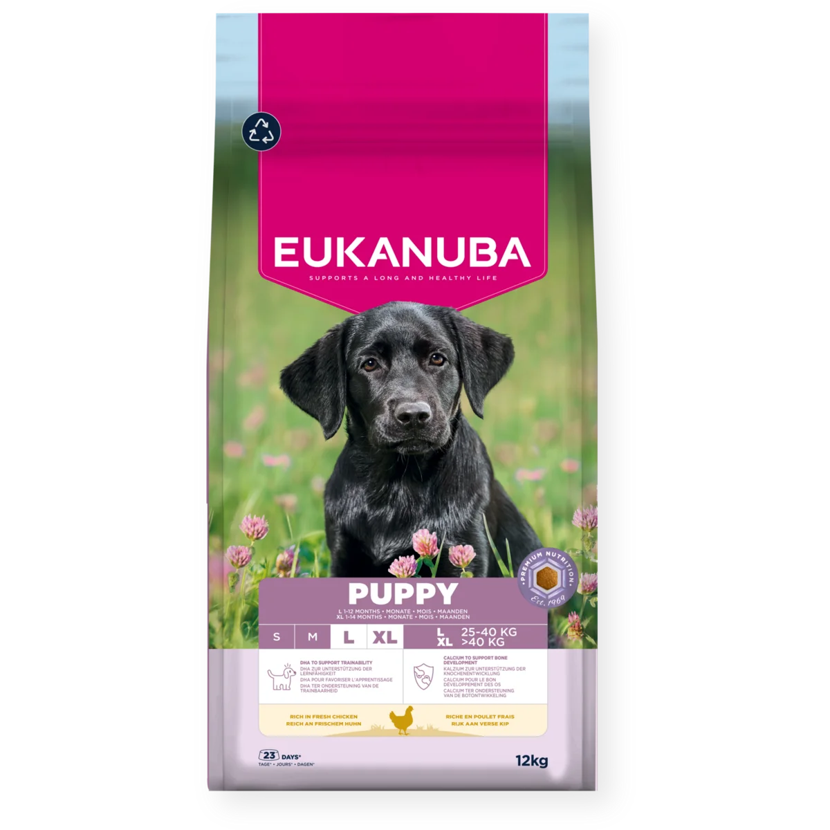 Eukanuba Dog Puppy Large Breed Kyckling