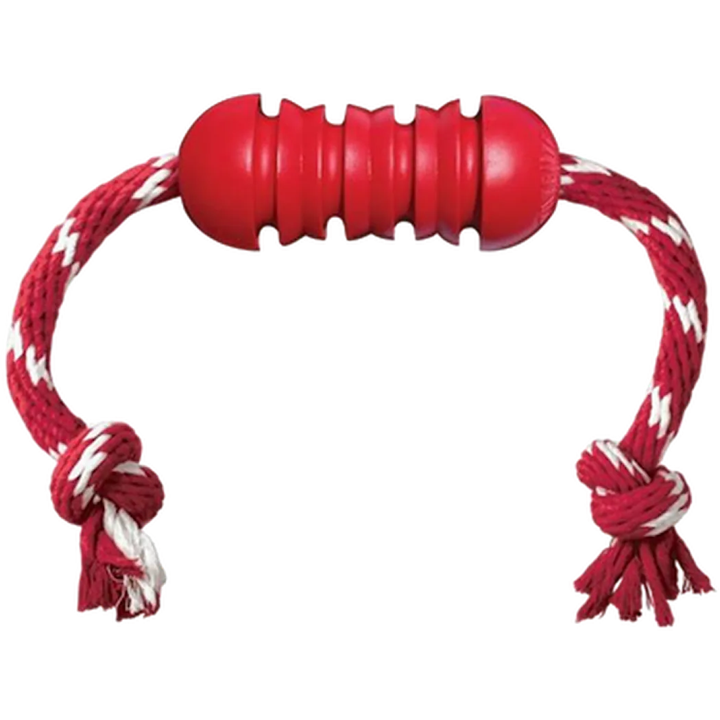 Dental with Rope Dog Toy Red Small