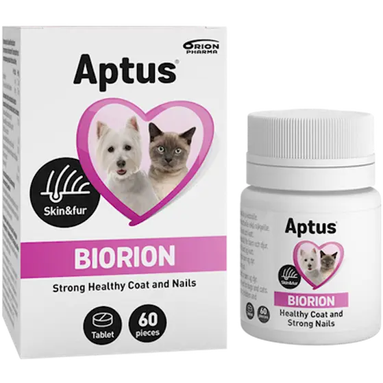 Biorion -tabletit 60kpl
