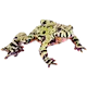 ZOO.se Reptil: Orientalisk Klockgroda Bombina orientalis