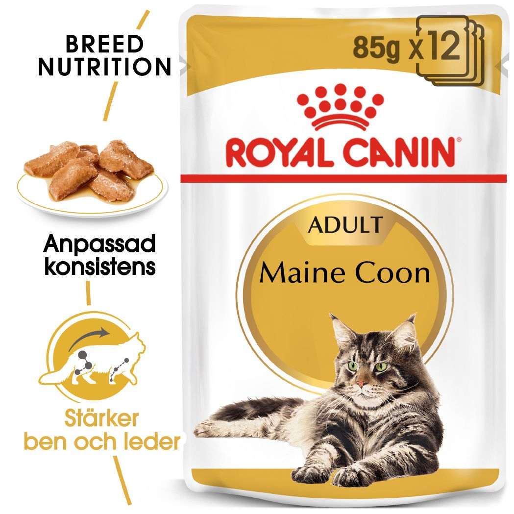 Maine Coon Adult Våtfoder för katt 85 g x 12 st