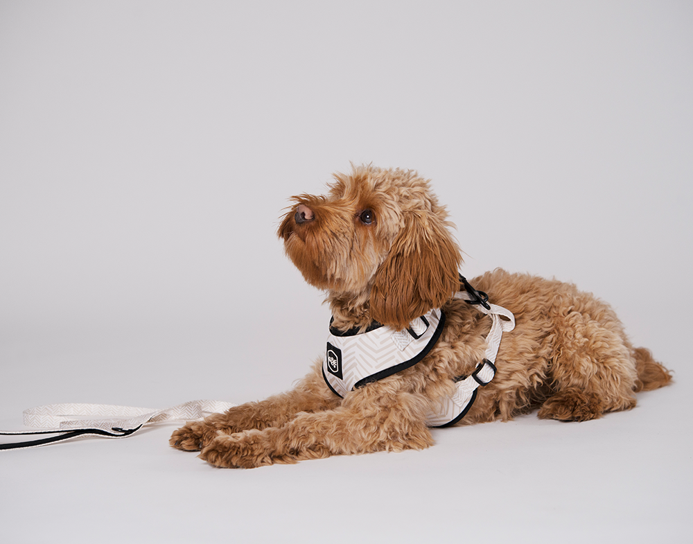 20640, 20641, 20642, 20643, 20656, 20657.png