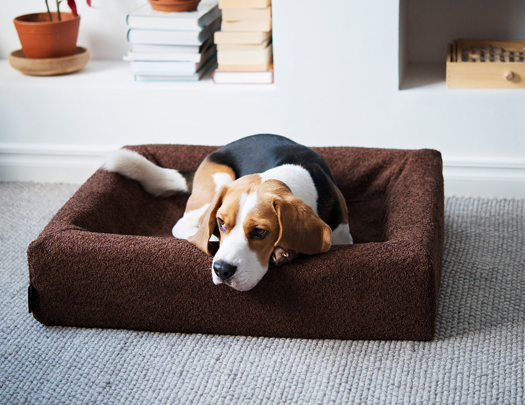 4332, 4333, 4334, 4335, 4336 (8).jpg