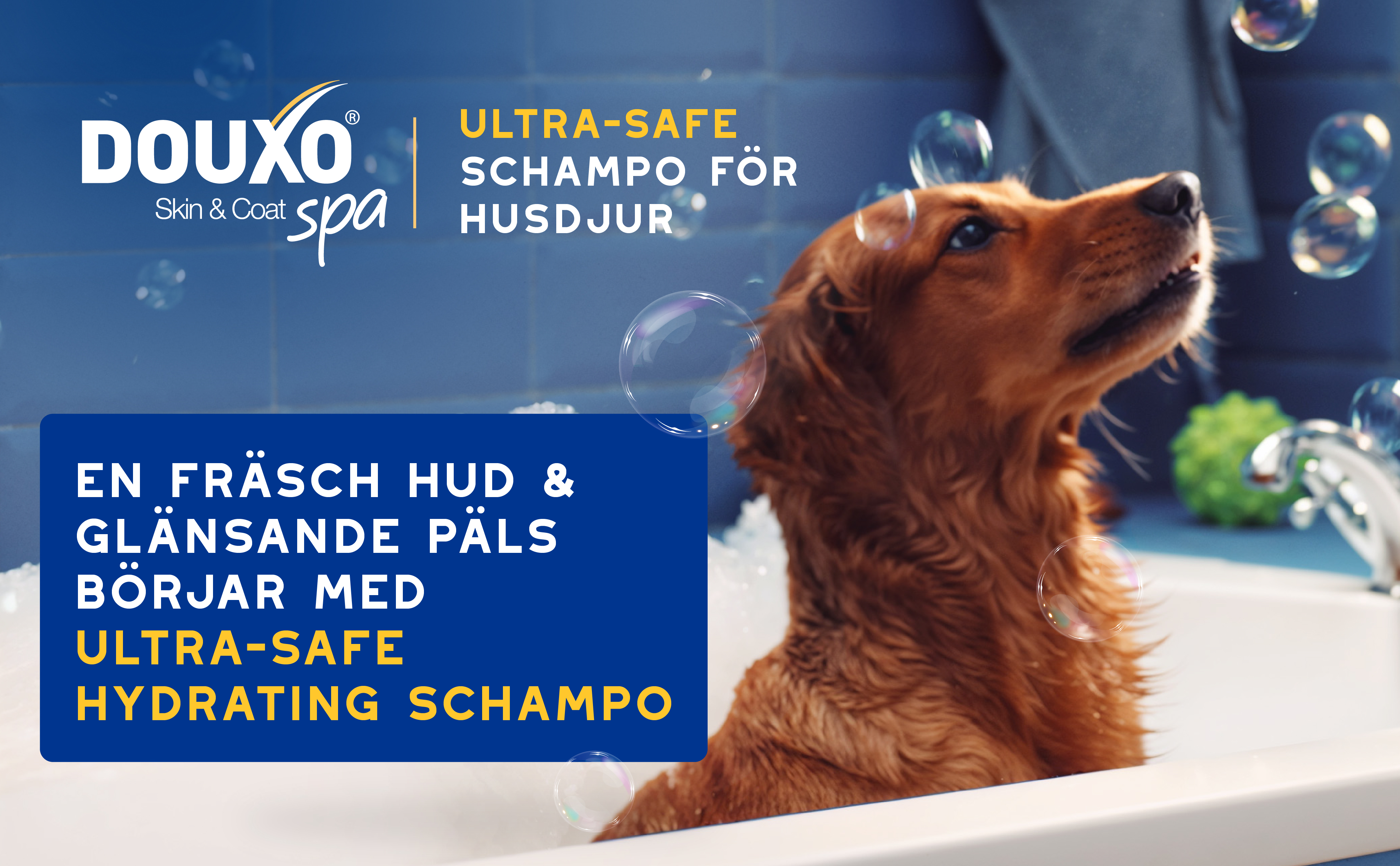 Hydrating-schampo-3411113154172-SE_BTF_Banner 1.jp