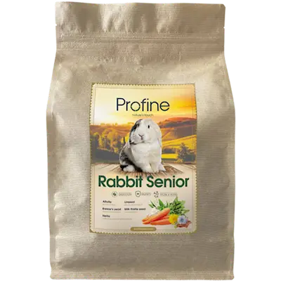 Animals Rabbit Senior