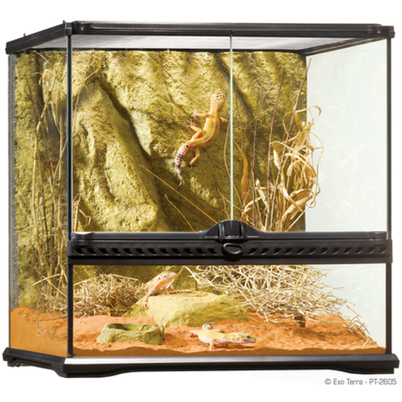 Exoterra - Glass Terrarium Natural Small/Wide - 45 x 45 x 45 cm - Reptil - ZOO.se