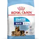 Royal Canin Maxi Starter Starter Torrfoder för hund 15 kg