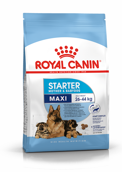 Preview of Royal Canin Maxi Starter Torrfoder för hund 15 kg