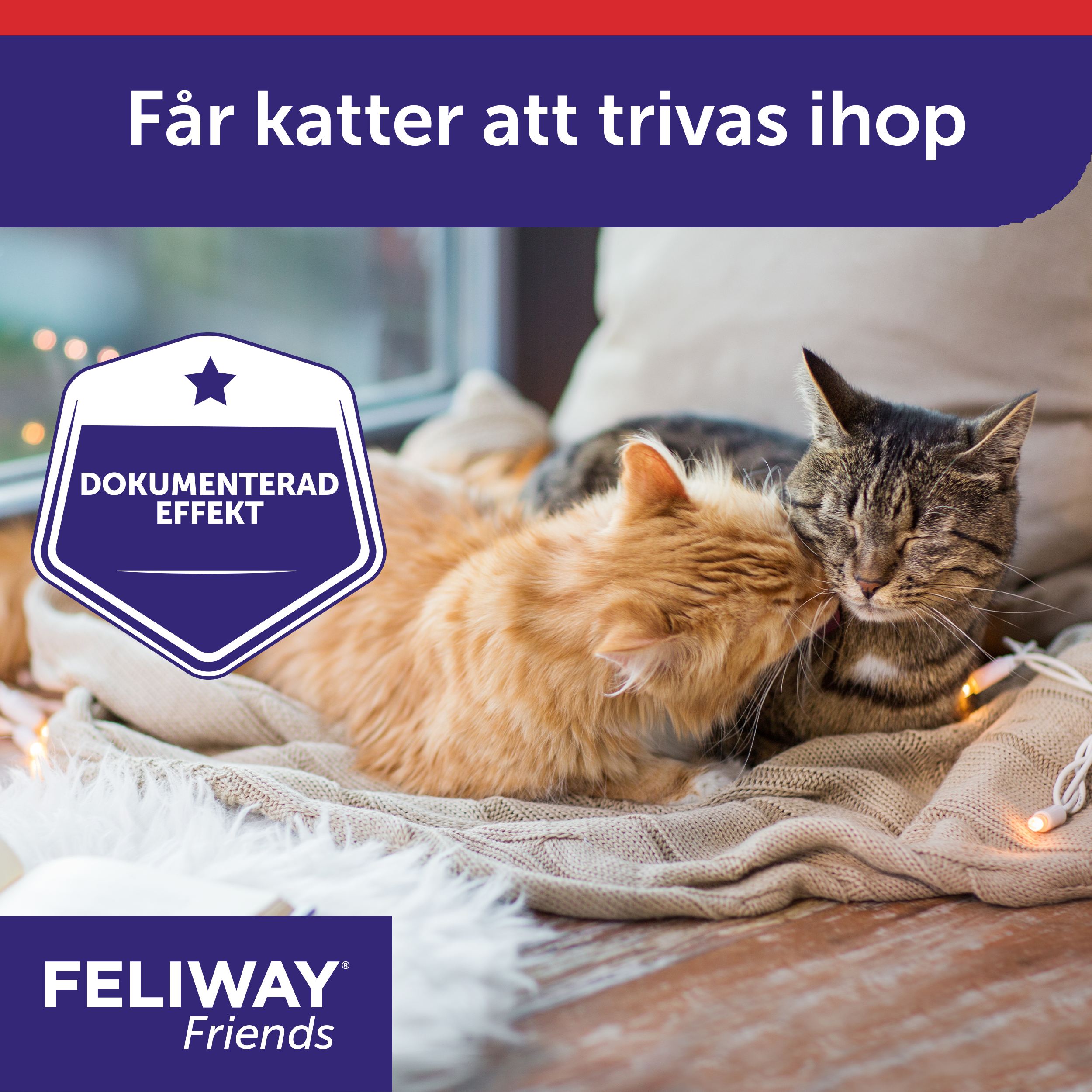 Feliway Friends doftavgivare_2_3411112251476.png