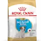 Royal Canin Jack Russel Puppy Torrfoder för hundvalp 1,5 kg