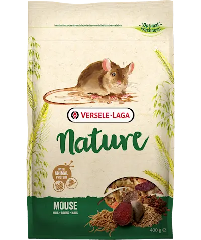 Nature Mouse