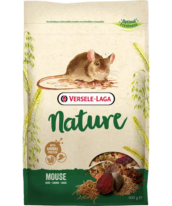 Nature Mouse