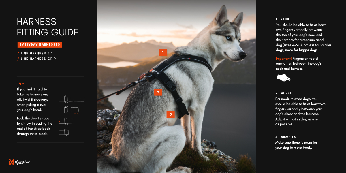 HarnessFittingGuide_EverydayHarnesses_WEB_1200px-2
