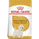 Breed West Highland Terrier Adult Yellow 3 kg