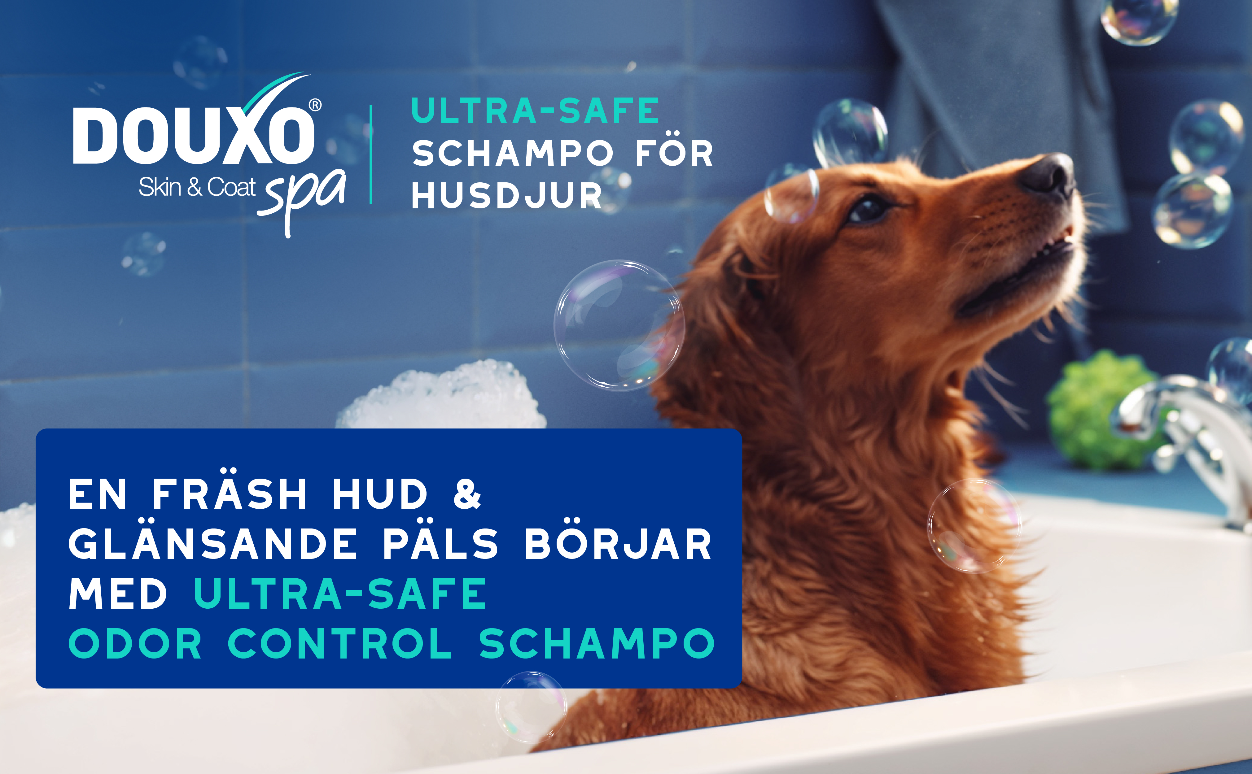Odor-control-schampo-3411113154189-SE_BTF_Banner 1