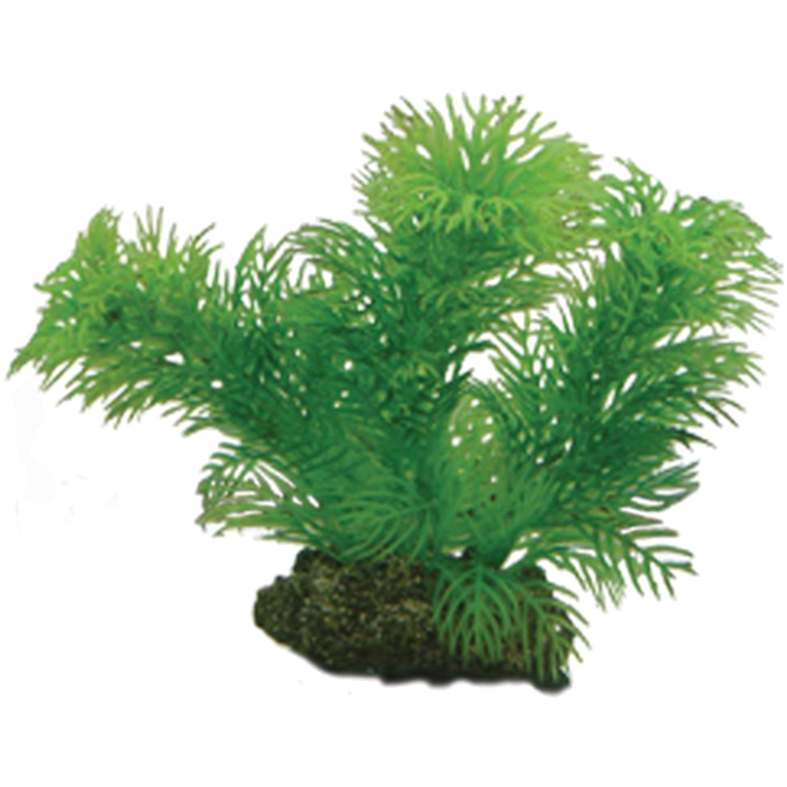 Plastväxt Egeria 13cm