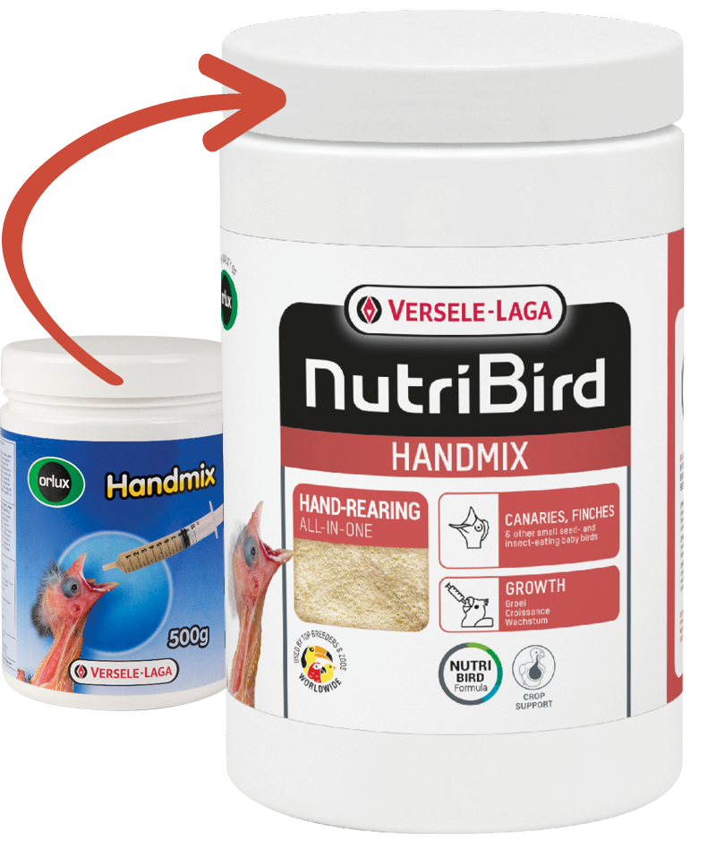 verselelaga_orlux_nutribird_handmix_babybirds_food