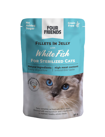 Cat_Sterilized_in_Jelly_Mix_12-pack_with_white_fis