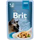 Cat Delicate Fillets in Gravy with Chicken 85 g