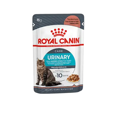 Urinary Care Gravy Adult Våtfôr til katt