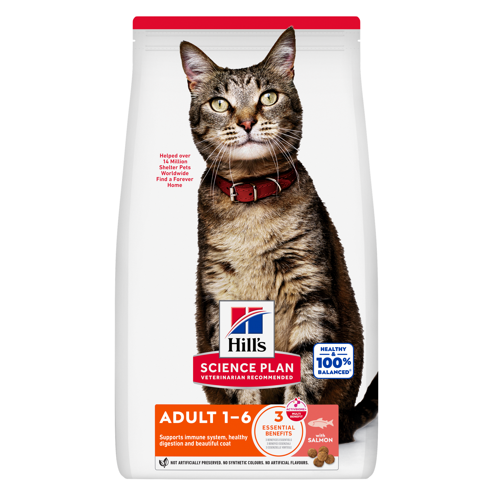 Hills Science Plan Feline Adult Cat Food Salmon 10kg