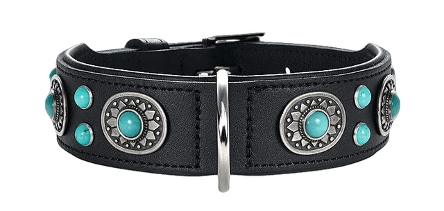 Hunter - Dog Collar Sioux Black/Turquoise M 55 - Neck 41-49cm - Hund - ZOO.se