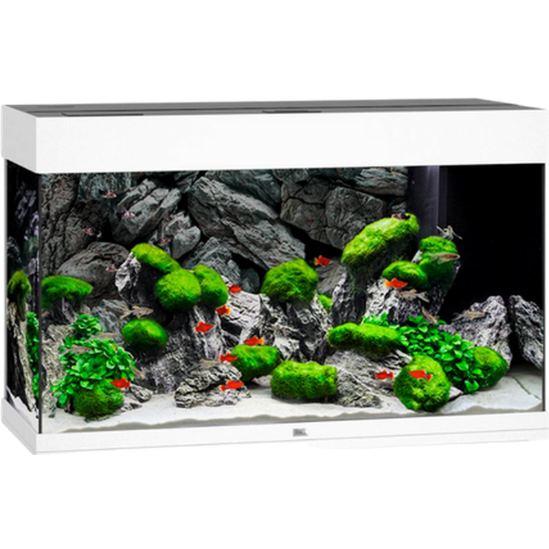 Juwel - Rio 450 LED hvitt akvarium - Akvaristikk - Akvarium & møbler - Akvarium - ZOO.no