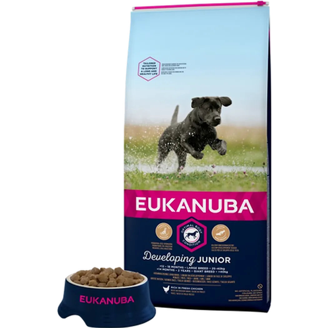 Eukanuba Dog Junior Large Blue 15 kg