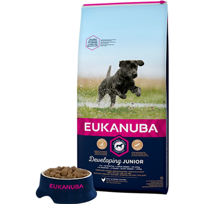 Preview of Eukanuba Dog Junior Large 15 kg