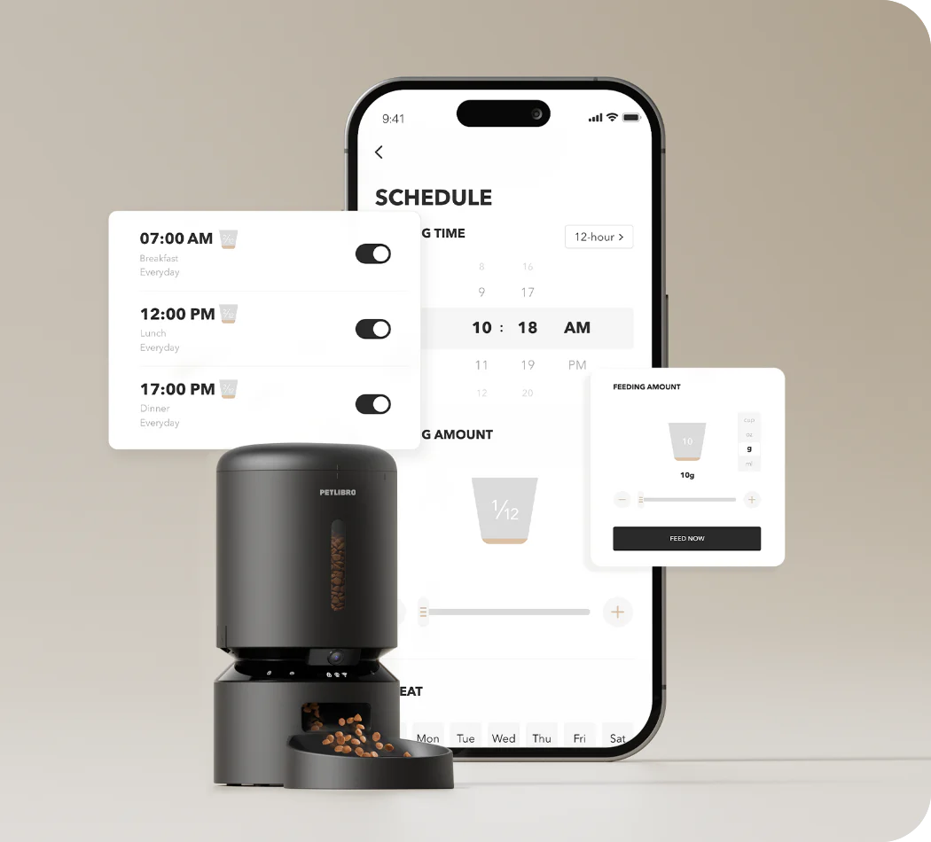 AF203-overview-05_0973127c-30ad-4f5f-9b27-126f60c0