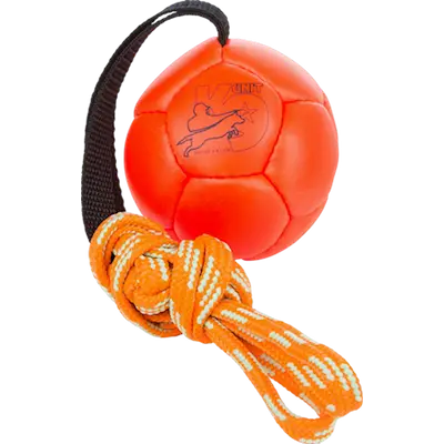 Show Traning Ball Dog Toy Orange 170 mm