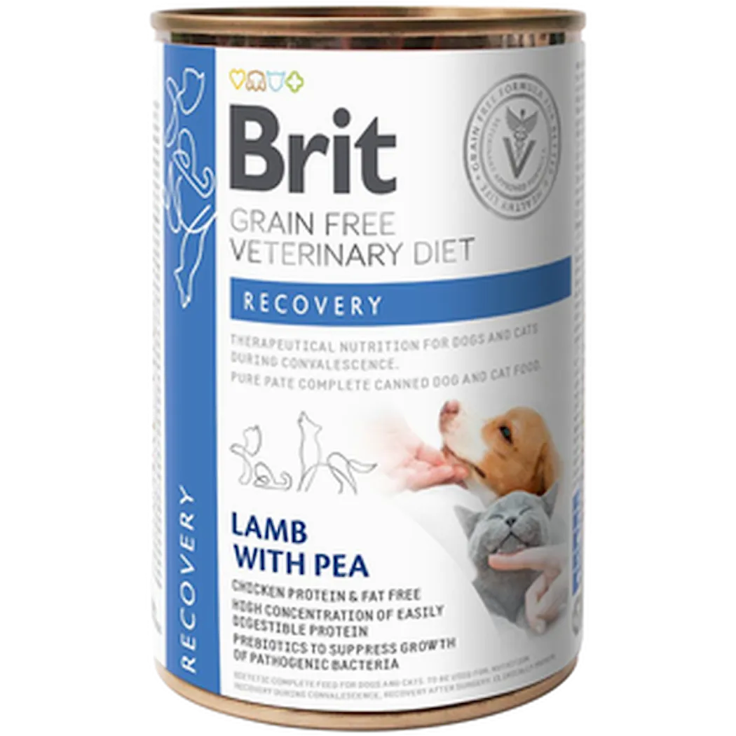 Grain Free Veterinary Diets Dog & Cat Recovery Can 400 g x 6