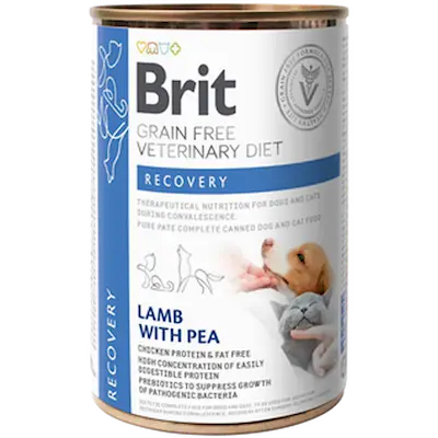 Grain Free Veterinary Diets Dog & Cat Recovery Can