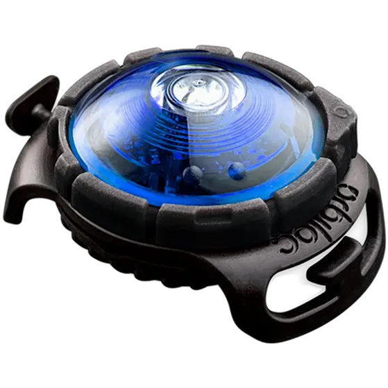 Safety Light Dog Dual LED - With Quick Mount & Adjustable Strap Blue 5 km