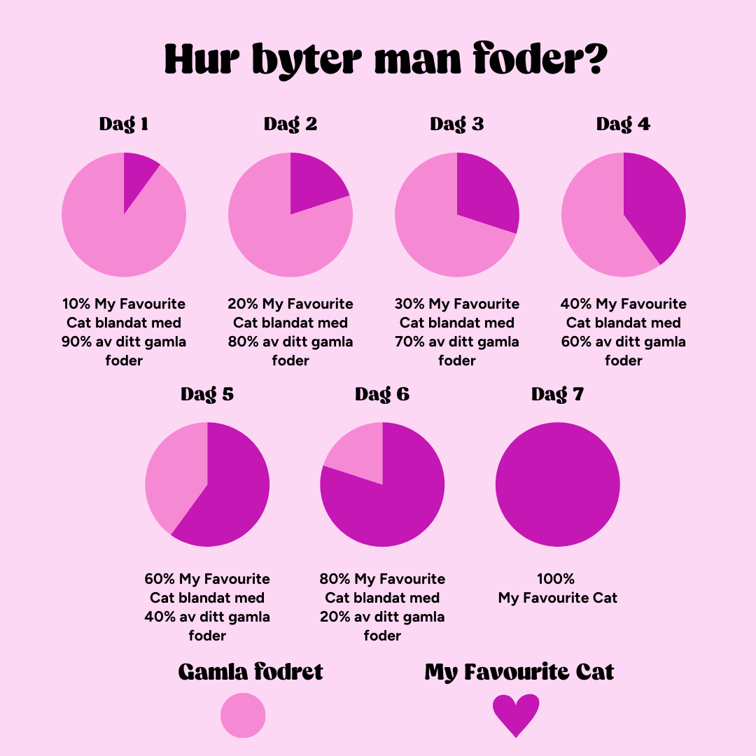 My Favourite Cat (3).png