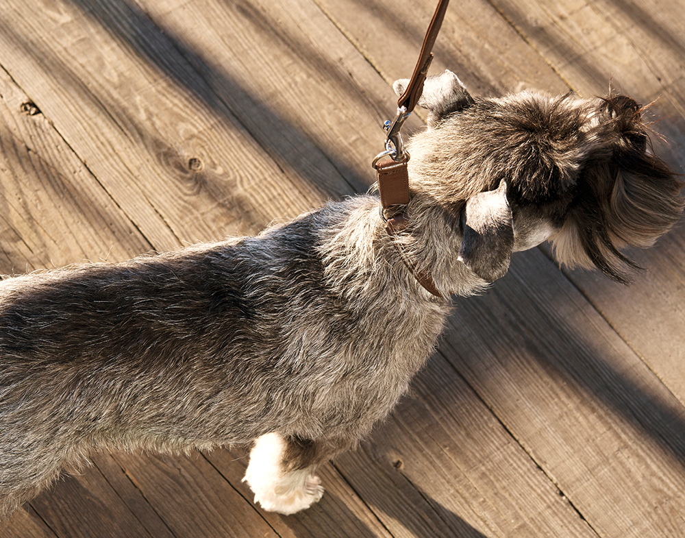 GE 210520, GE 210525, GE 210527, GE 210530, GE2105