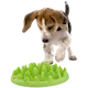 Slow Dog Feeder Green Mini