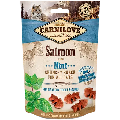 Cat Crunchy Snack Salmon & Mint