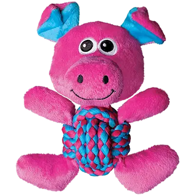 Weave Knots Pig Dog Toy