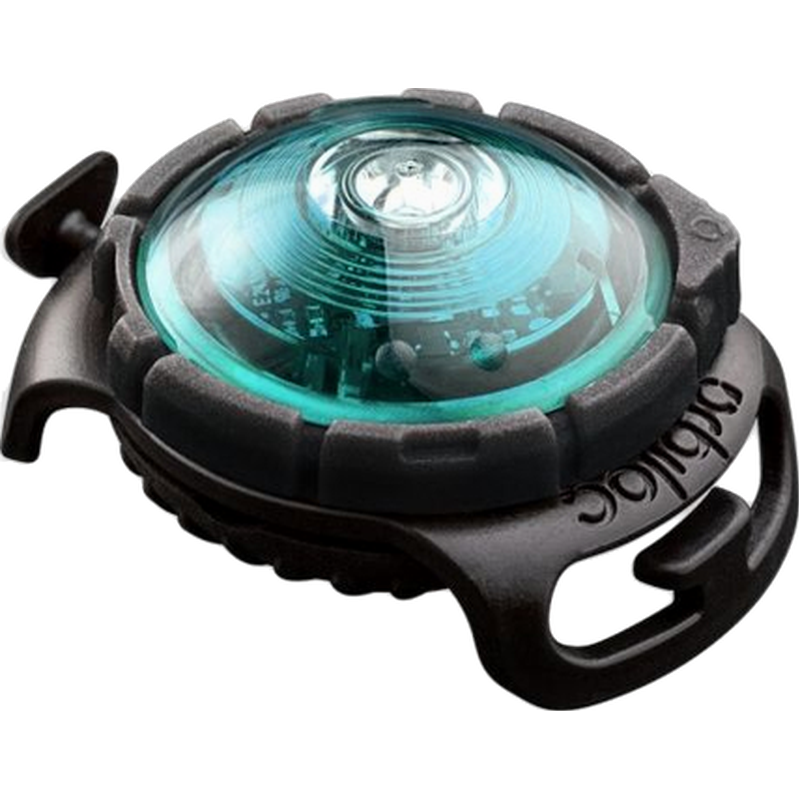 Orbiloc - Safety Light Dog Dual LED - With Quick Mount & Adjustable Strap Turquoise 5 km - Hund - ZOO.se