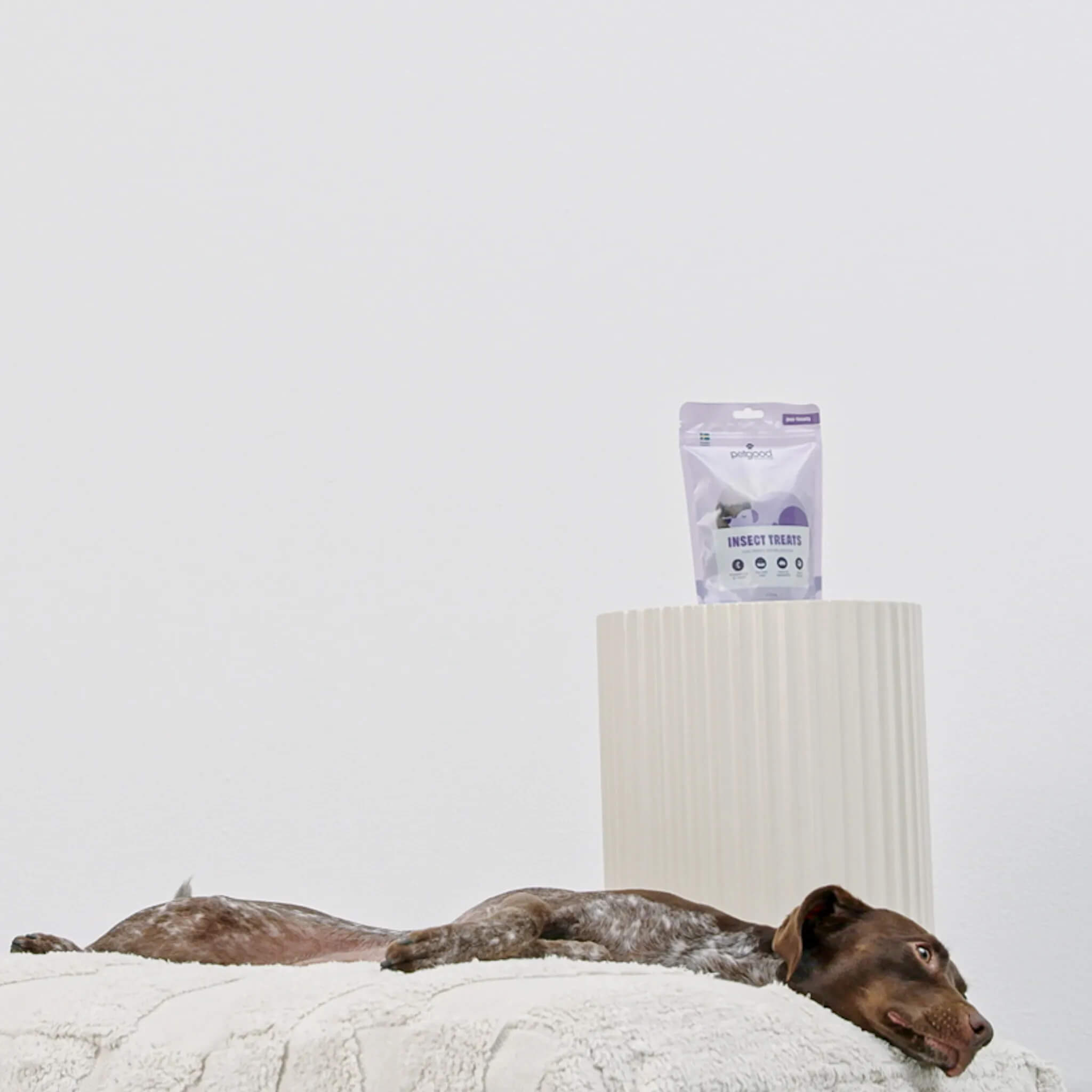 insect-based-calm-treats-04 (1).jpg