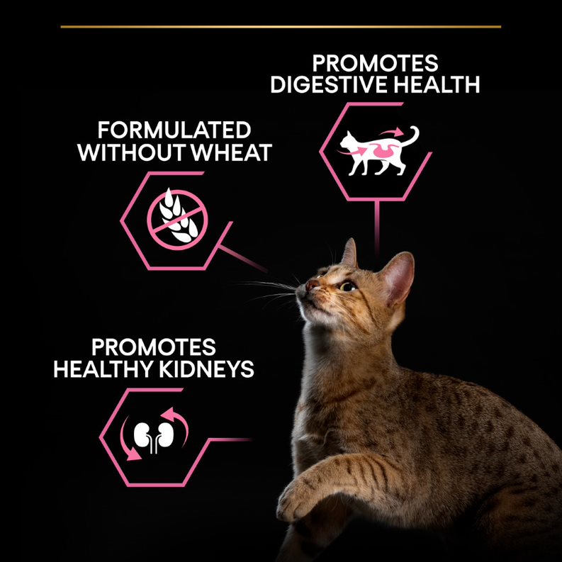 6. PROPLAN CAT DELICATE DIGESTION USP.jfif