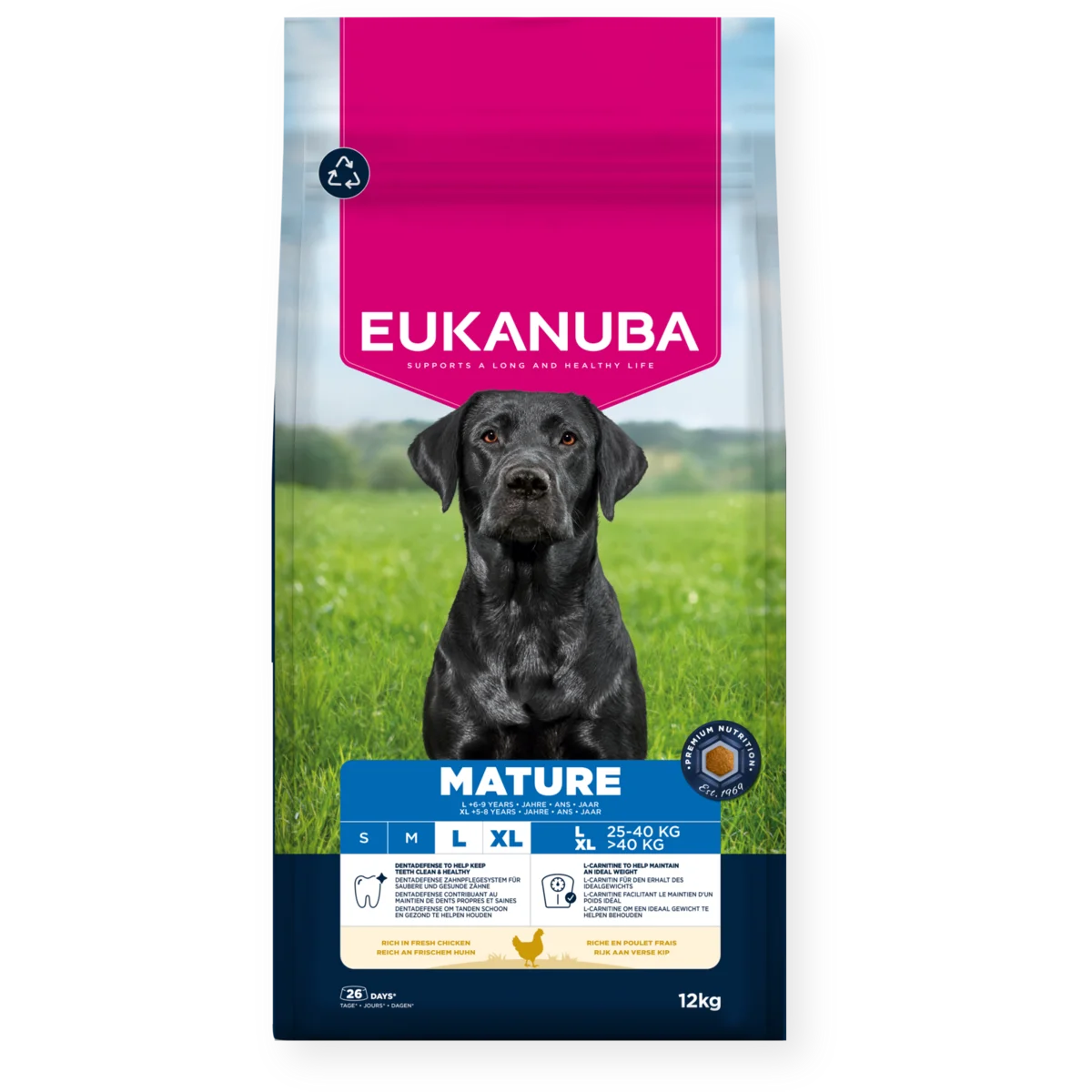 Eukanuba Dog Mature Large Breed Kyckling