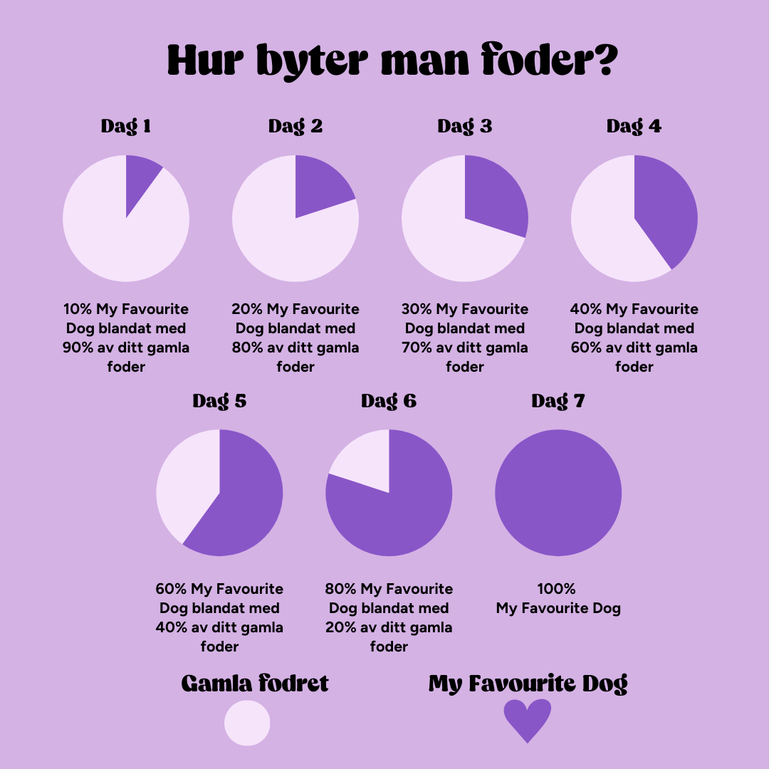 My Favourite Dog (2) (002).png