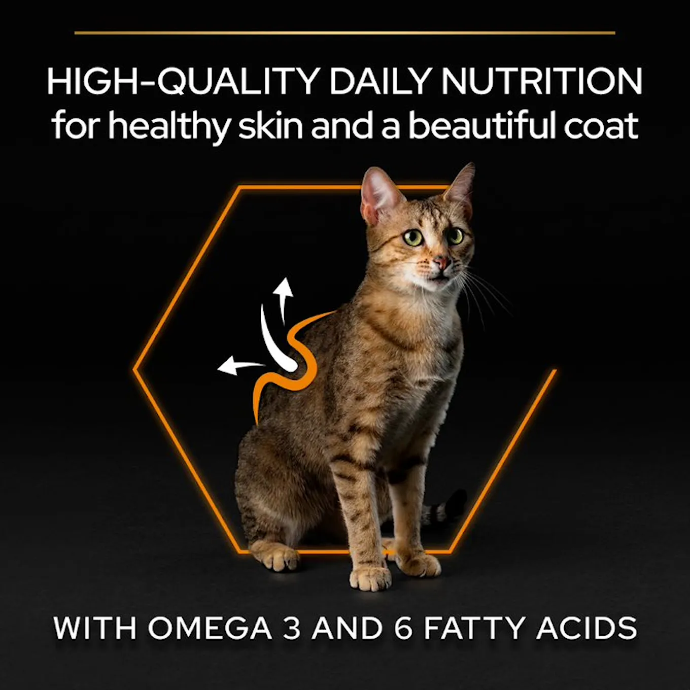 5. Pro Plan Cat Derma Care High Quality.jfif