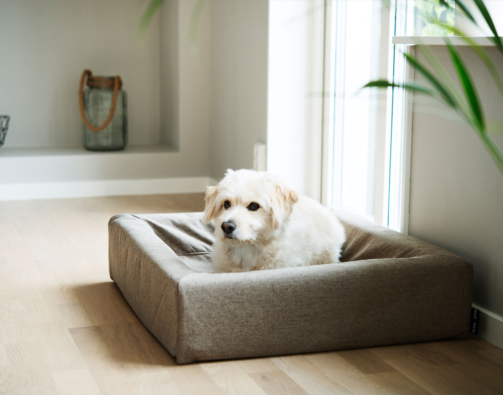 4290, 4291, 4310, 4311 (3).jpg